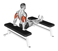 Triceps Dip exercise demonstration for Triceps, and Upper Arms, Body weight