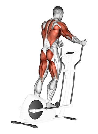 Walk exercise demonstration for Cardio, Body weight