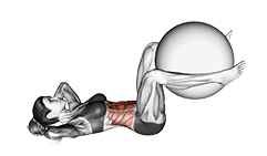 Weighted Crunch exercise demonstration for Waist, Stability ball