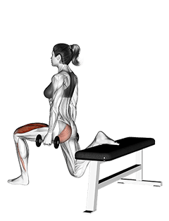 Dumbbell one leg squat exercise demonstration for Quadriceps, and Thighs, Dumbbell