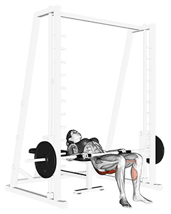 Smith lying lift exercise demonstration for Hips, Smith machine