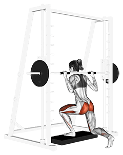 Smith rear lunge exercise demonstration for Quadriceps, and Thighs, Smith machine