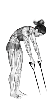 Band back extension exercise demonstration