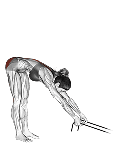 Band hyperextension exercise demonstration