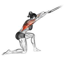 Band kneeling pulldown exercise demonstration