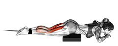 Band lying leg curl exercise demonstration