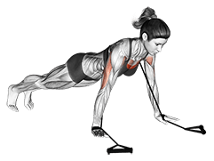 Band push-up exercise demonstration