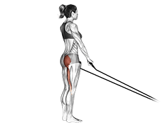 Band Single stiff leg deadlift exercise demonstration