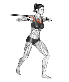 Band standing chest press exercise demonstration