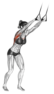 Band straight-arm pulldown exercise demonstration