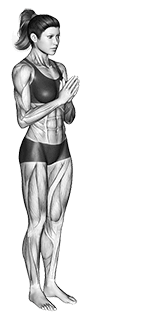 Chair Pose II Utkatasana II exercise demonstration for Yoga, Body weight