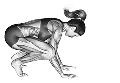 Crane Pose exercise demonstration for Yoga, Body weight