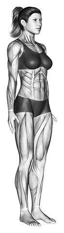Default pose exercise demonstration for Yoga, Body weight