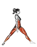 Warrior Pose I Virabhadrasana I exercise demonstration for Yoga, Body weight