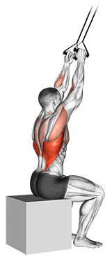 Band close-grip pulldown exercise demonstration