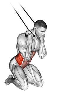 Band Kneeling Twisting Crunch exercise demonstration
