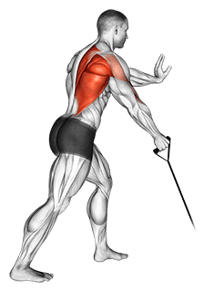 Band one arm Standing Low Row exercise demonstration