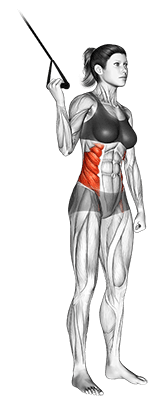 Band Side Crunch exercise demonstration for Waist, Band