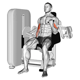 Lever Alternate Biceps Curl exercise demonstration