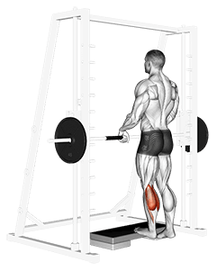 Smith Calf Raise exercise demonstration for Calves, Smith machine