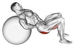 Lying Hip Lift exercise demonstration