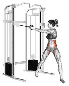 Cable twist exercise demonstration