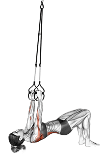 Suspension Bent knee Inverted Row exercise demonstration