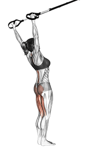 Suspension Hyperextension exercise demonstration for Back, Suspension