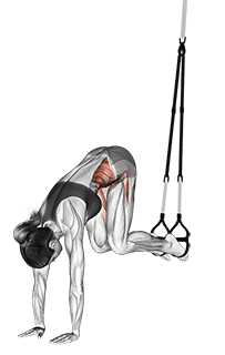 Suspension Jack knife Pike exercise demonstration