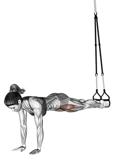 Suspension Pike exercise demonstration