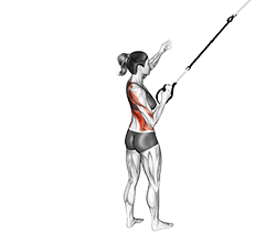 Suspension Power Pull exercise demonstration