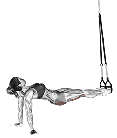 Suspension Pull Through exercise demonstration for Back, Suspension