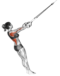 Suspension Row exercise demonstration