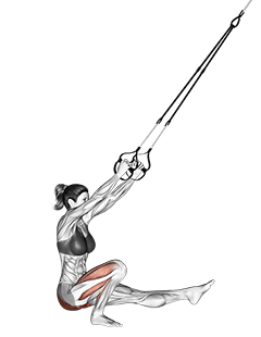 Suspension Single Leg Squat exercise demonstration