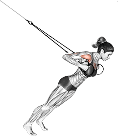 Suspension Close-grip Chest Press exercise demonstration for Chest, Suspension