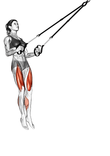 Suspension Jump Squat exercise demonstration
