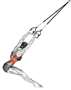 Suspension Lat Stretch exercise demonstration for Back, Suspension