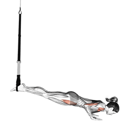 Suspension Mountain Climber Push-up exercise demonstration