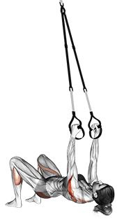 Suspension Reverse Fly Wake-up exercise demonstration