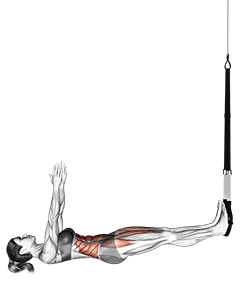 Suspension Sit-up exercise demonstration