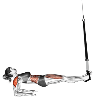 Suspension Supine Plank exercise demonstration for Waist, Suspension