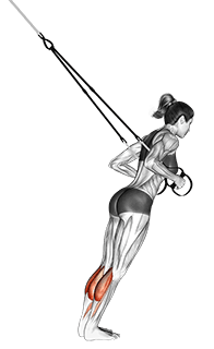 Suspension Calf Raise exercise demonstration