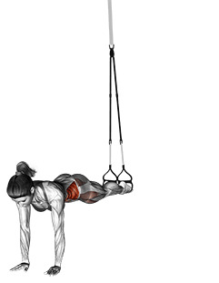 Suspension Pendulum exercise demonstration