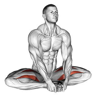 Seated Groin Stretch exercise demonstration for Hips, Body weight