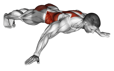 Iron Cross Plank exercise demonstration for Back, Body weight