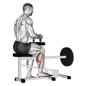 Lever seated one leg calf raise exercise demonstration for Calves, Leverage machine