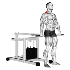 Lever Shrug exercise demonstration