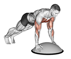 Push Up on Bosu Ball exercise demonstration for Chest, Bosu ball