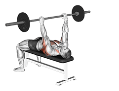 Bent Arm Pullover exercise demonstration for Back, Barbell