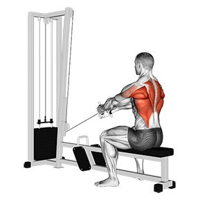 Upper Row exercise demonstration for Back, Cable
